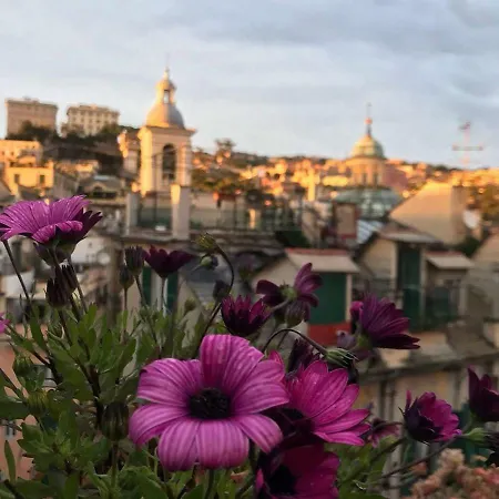 Il Geco * Genua