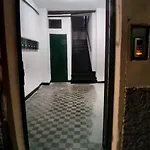 Il Geco