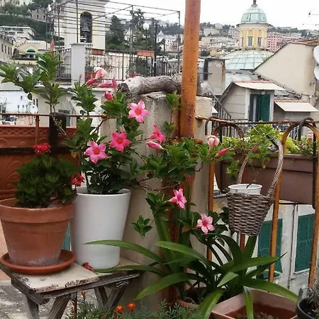 Il Geco Pensión *