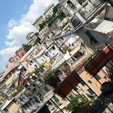 Pensión Il Geco