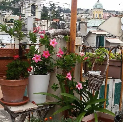 Il Geco Vendégház *